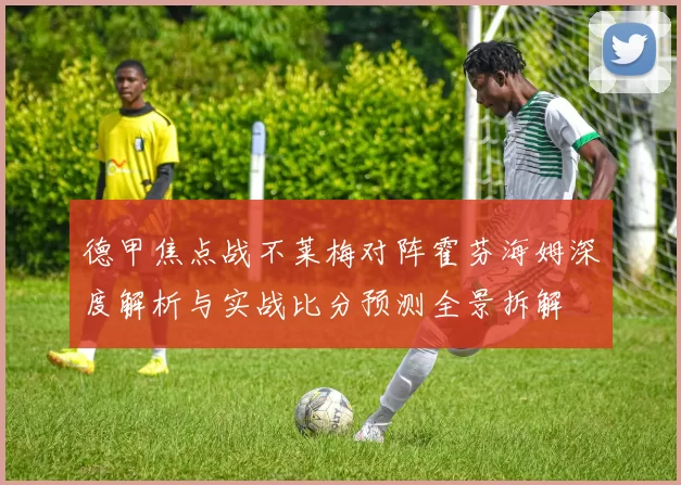 德甲焦点战不莱梅对阵霍芬海姆深度解析与实战比分预测全景拆解